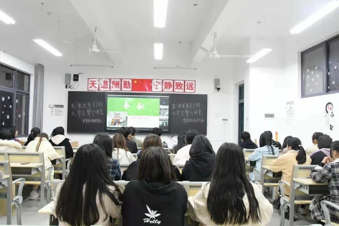 主題11